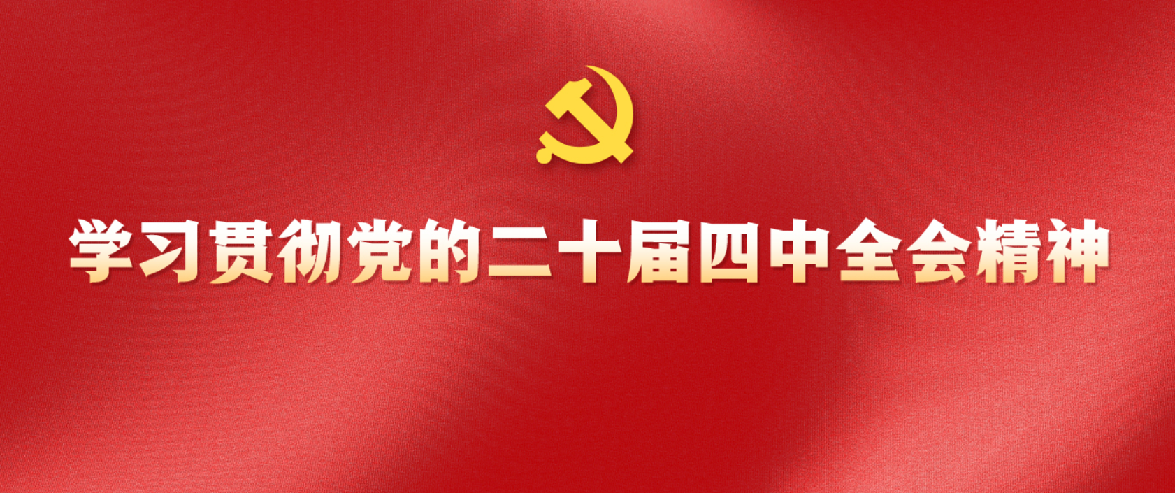         学习贯彻党的二十届四中全会精神
